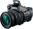 Sony-DSCF828